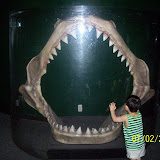 100_0340.jpg