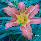 100_0384.jpg