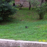 100_0393.jpg
