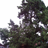 100_0394.jpg