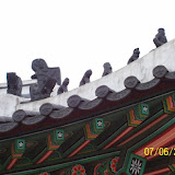 100_0395.jpg