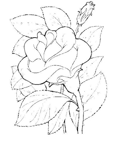  Dibujos de guias de flores
