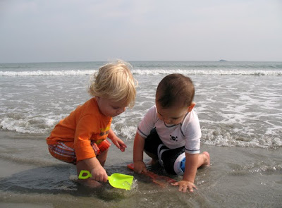 Playing at the waters edge