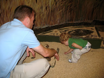 Uncovering buried treasure