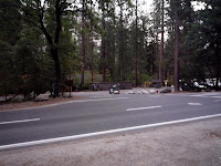 P1010158.JPG Photo
