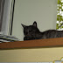 P4184961.JPG