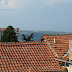 P7065793.JPG