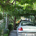 P7065810.JPG