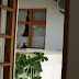P7065839.JPG
