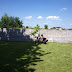 P5299134.JPG