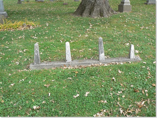 P1000231
