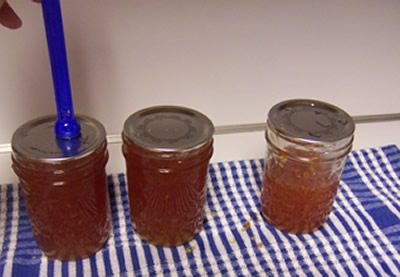 [grapefruitmarmalade0229.jpg]