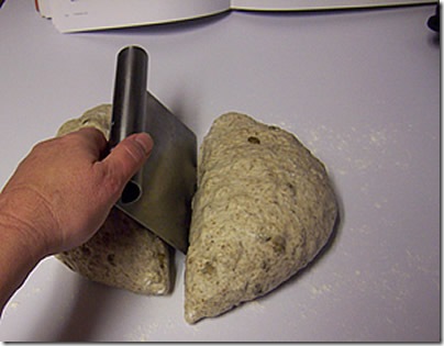 BBA-sunflower-seed-rye 021