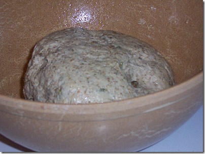 BBA-sunflower-seed-rye 017
