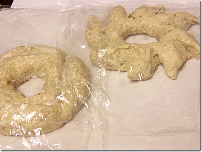 BBA-sunflower-seed-rye 032
