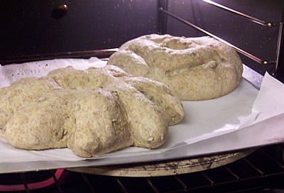 [BBA-sunflower-seed-rye 036[4].jpg]