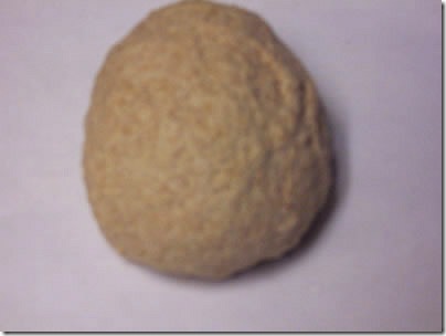 whole-wheat-olive-oil-bread 006