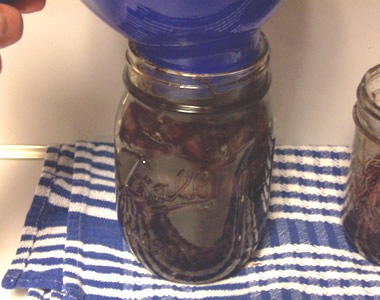[onion-relish 010[4].jpg]