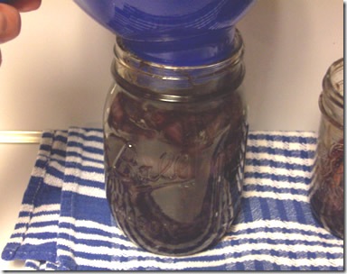 onion-relish 010