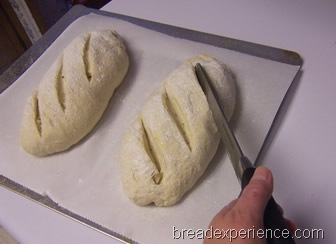 [BBA-tuscan-bread 018[1].jpg]