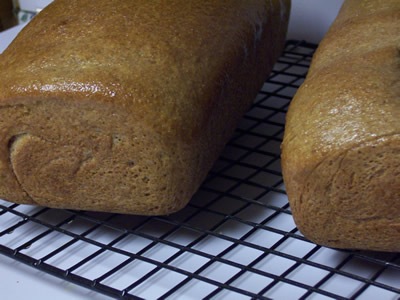 [BBAwholewheatbread0344.jpg]