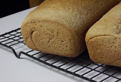 [BBA-whole-wheat-bread 033[4].jpg]
