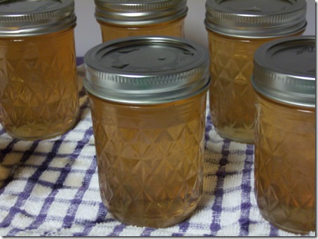 apple-jelly-and-sauce 022