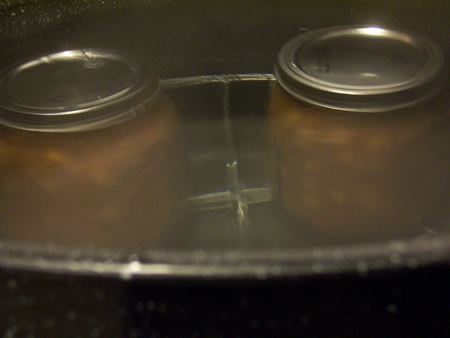 [peach-salsa 012[4].jpg]