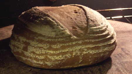 [basic-savory-bread-dough 023[5].jpg]
