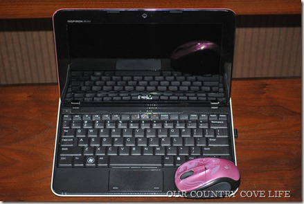 DSC_0005 DSC_0005
