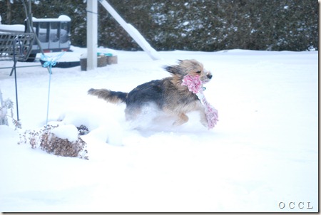 DSC_0079 DSC_0079