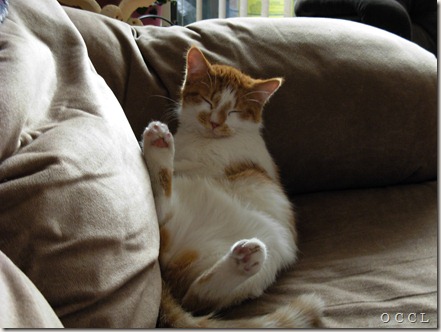 such a lazy day ! such a lazy day !