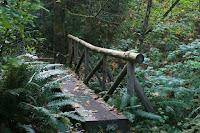 Creek Crossing Photo