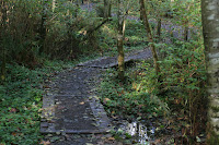 Dual Bridges Photo