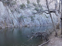 IMG_20101205_153454.jpg Photo