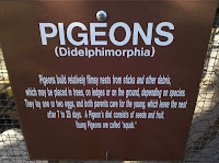 IMG_20101205_160012.jpg Photo