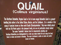IMG_20101205_155940.jpg Photo