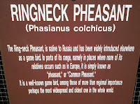 IMG_20101205_160102.jpg Photo