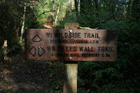 Split in the De Leo Wall Trail Photo