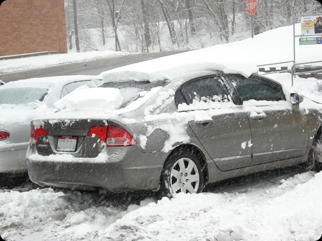 Snocar 029