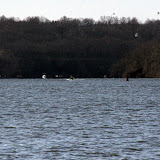 Rory Rowing