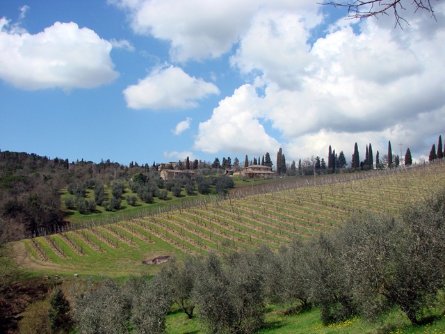 [Italy 063[3].jpg]