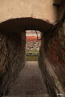IMG_3658.JPG Photo