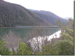 DSCN3921