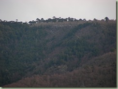 DSCN3922