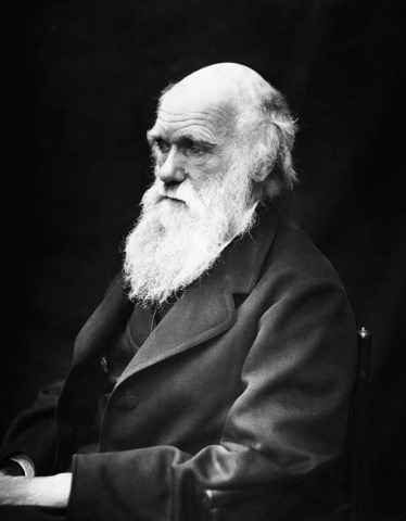 [Charles_Darwin_01[3].jpg]