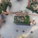 DSCF1059.JPG