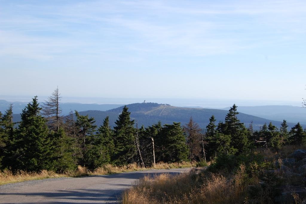 [DSC_0819 (Large)[2].jpg]