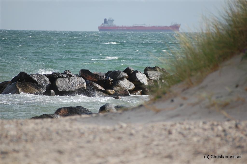 [DSC_0558 (Large)[5].jpg]