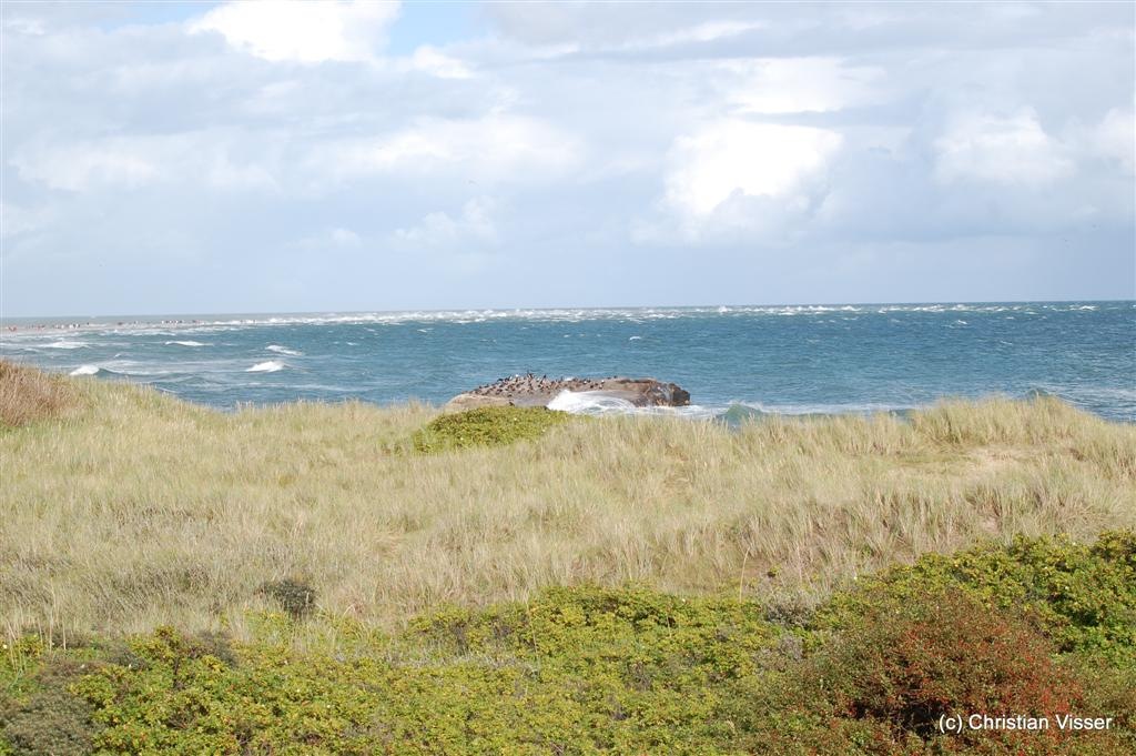 [DSC_0560 (Large)[5].jpg]